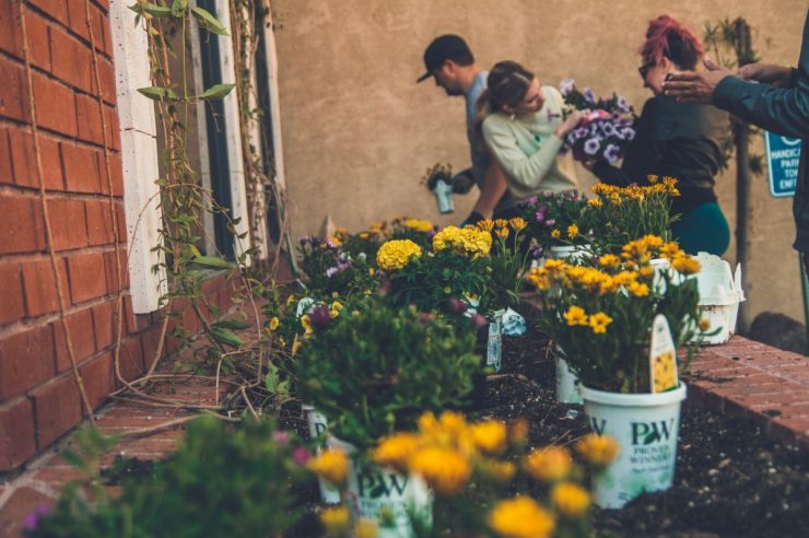 Picture of people gardening together.