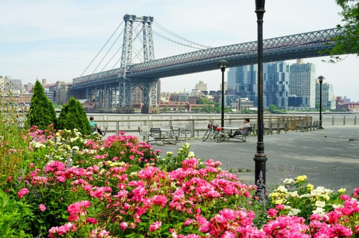 Picture of a bridge with some flowers in the forground.